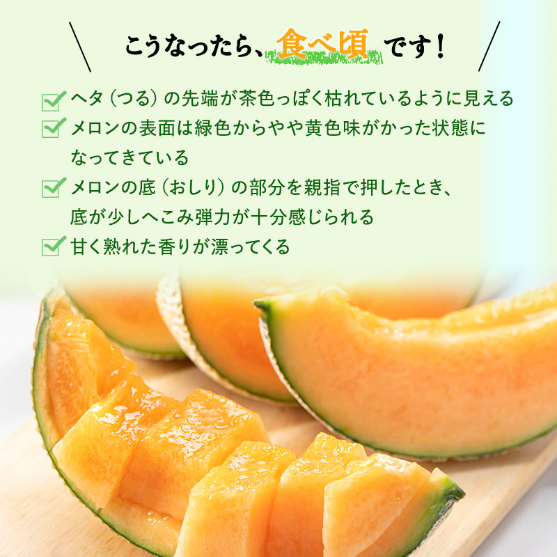 【2026年発送】 赤肉メロン JAふらの厳選！約2.5kg×1玉 メロン めろん 富良野メロン 果物 くだもの フルーツ 富良野 デザート 北海道 国産 上富良野産 北海道産 食後 来客 北海道メロン