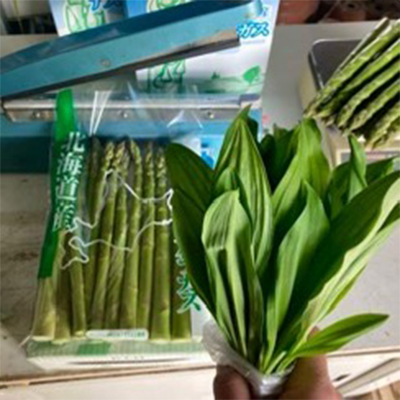 上富良野産 アスパラと春の山菜セット アスパラガス アスパラ 野菜 山菜 北海道