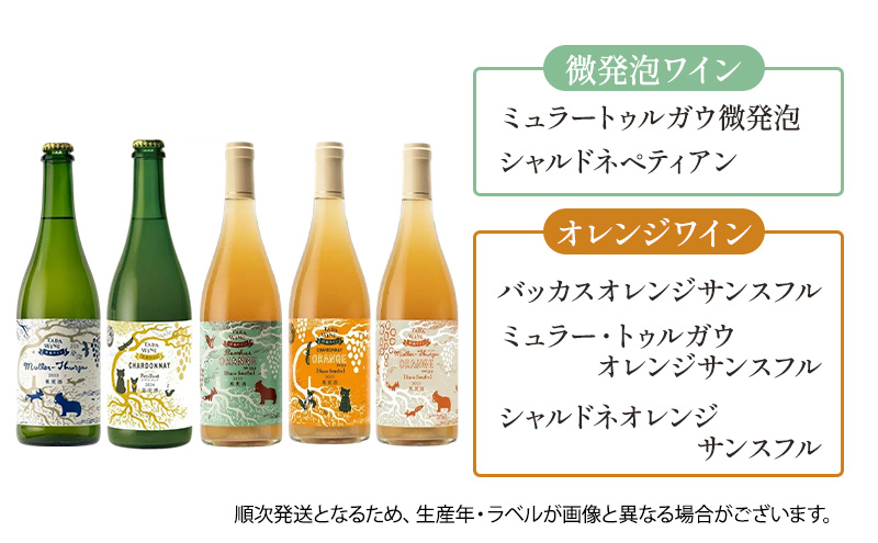 ワイン6ヵ月定期便◎月2本×6回◎多田ワイナリー◎野生酵母ワイン 北海道 上富良野町 ワイン 赤ワイン 白ワイン 微発泡ワイン オレンジワイン
