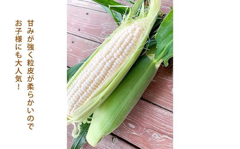スイートコーン「ゴールドラッシュ5本 & 雪の妖精5本」