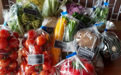 【2025年9月中旬頃から発送】農家直送！ミニトマト500g入り！かみふらの秋の味覚ボックスS（6～8品入り）