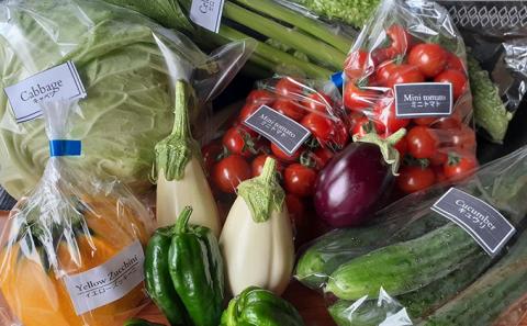 【2025年8月上旬頃から発送】農家直送！ミニトマト500g入り！朝採れ新鮮夏野菜ボックスL（7～9品入り）