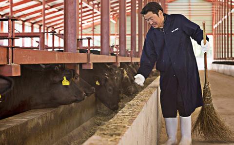 かみふらの和牛A5等級　半頭まるごとお届け便≪19個口≫