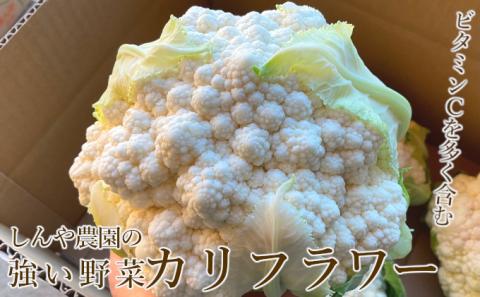 【令和7年産】しんや農園のつよい野菜「ブロッコリー6個&カリフラワー4個」 北海道産 北海道の野菜 国産野菜 栄養素 ビタミンC 新鮮 食材 食べ物 鮮度保持袋入り【北海道上富良野町産】