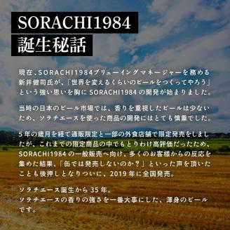 ◆12ヵ月連続お届け定期便◆SORACHI 1984 2箱（350ml×24缶） 株式会社 ヤマイチ 北海道 上富良野町 ソラチ1984 お酒 酒 飲み物 ビール 地ビール サッポロビール サッポロ ギフト