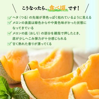 【2024年発送】かみふらの 赤肉メロン 約2kg 2玉 セット 北海道 上富良野町 メロン 先行予約 令和6年発送
