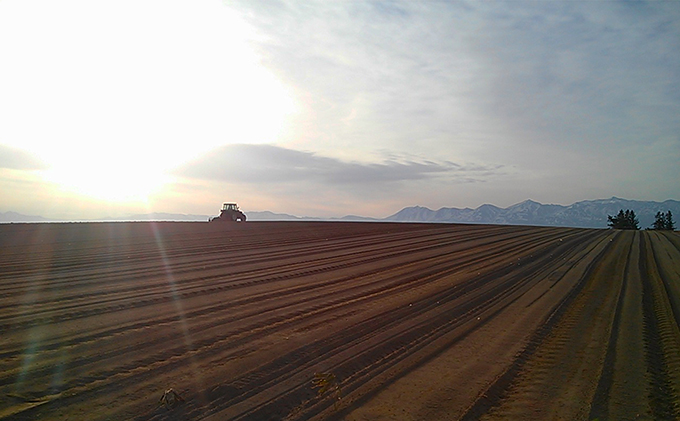 カラフルトマト＆ミニトマトジュースセット