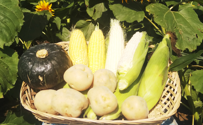 上富良野【かんのファーム】新鮮野菜の定期便（ラベンダー付全3回）