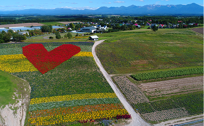 【 2025年 発送 】先行予約 かんのファーム 産 とうもろこし 食べ比べ 10本 セット( じゃがいも 付 )  北海道 上富良野町 とうもろこし トウモロコシ セット じゃがいも ジャガイモ 先行受付