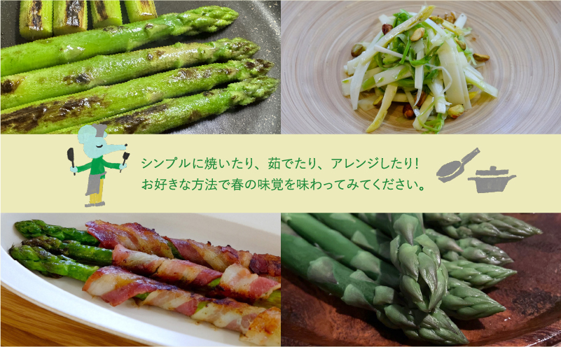 【 2026年 発送 】 先行予約 北海道 上富良野産 アスパラガス 3L サイズ 800g アスパラ 上富良野町 令和7年発送 先行予約