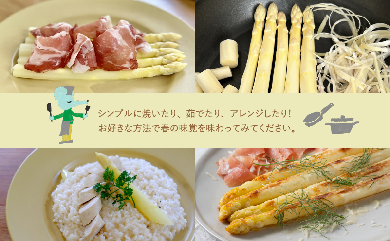 先行予約 【 2026年 発送 ！】 北海道 上富良野産 ホワイトアスパラガス 2L サイズ 800g アスパラ ホワイト アスパラガス 上富良野町 令和7年発送 野菜 やさい