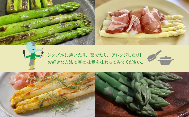 【 2026年 発送 】 先行予約 北海道 上富良野産 ホワイト ＆ グリーン アスパラ 2L サイズ 800g アスパラガス ホワイト グリーン アスパラ 上富良野町 令和7年発送 野菜 やさい