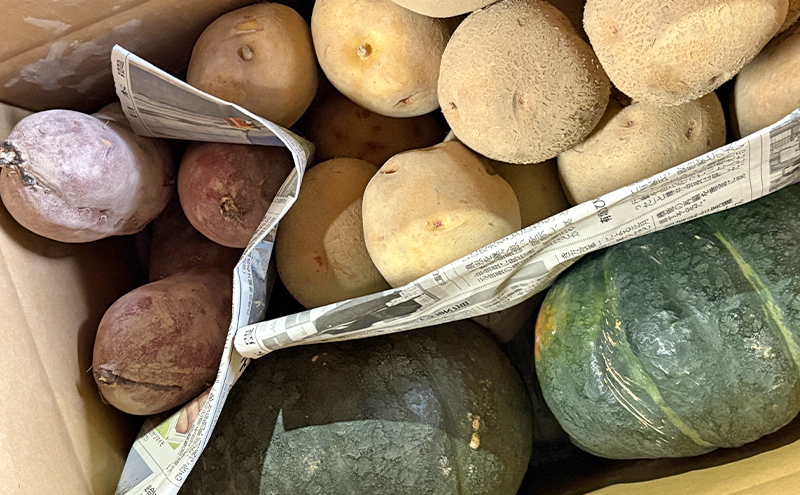 【令和8年産】しんや農園の根菜セット [じゃがいも・かぼちゃ・さつまいも]計9kg 野菜 根菜 北海道産 北海道の じゃがいも きたあかり ブラックのジョー かぼちゃ さつまいも 紅はるか 上富良野町産