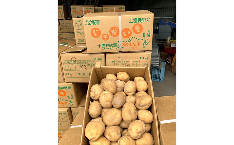 かみふらのじゃがいも「とうや5kg & 男爵5kg」