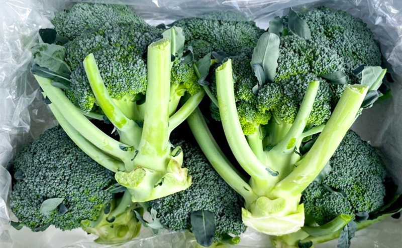 【令和7年産】しんや農園の 野菜「ブロッコリー6個 & カリフラワー4個」 旬の野菜 北海道産 北海道野菜 国産 国産野菜 グルメ 食材 新鮮 新鮮野菜