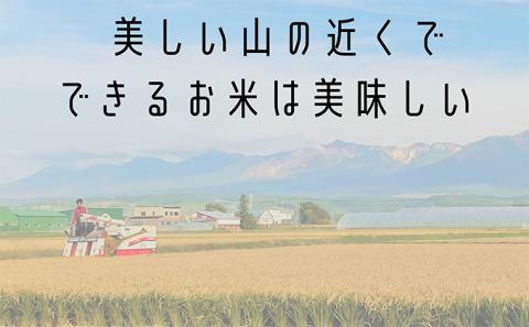 ◆10ヶ月連続定期便◆ななつぼし 玄米 5kg /北海道 上富良野産 ～It's Our Rice～ お米 特Ａランク 5キロ