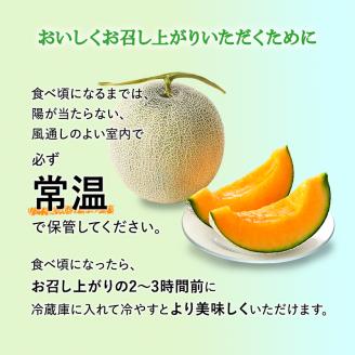 【令和8年産】 メロン ふらの 赤肉メロン LLサイズ 約2kg 2玉 糖度限界突破 セット めろん 果物 フルーツ デザート くだもの 旬の果物 旬のフルーツ 2025年発送 北海道 富良野 上富良野町
