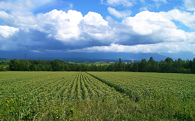 カラフルトマト＆ミニトマトジュースセット