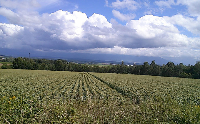 四釜農園のオススメかぼちゃ10kgセット≪6種以上≫