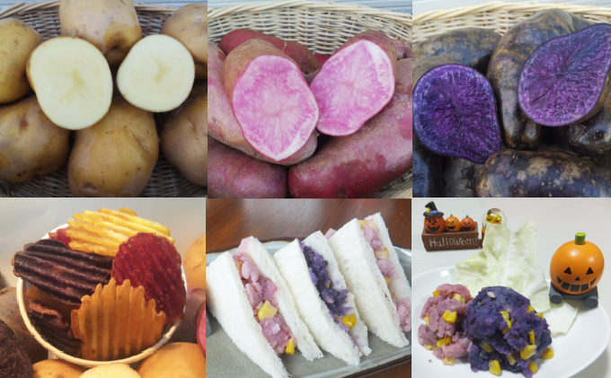 上富良野【かんのファーム】新鮮野菜の定期便（ラベンダー付全3回）