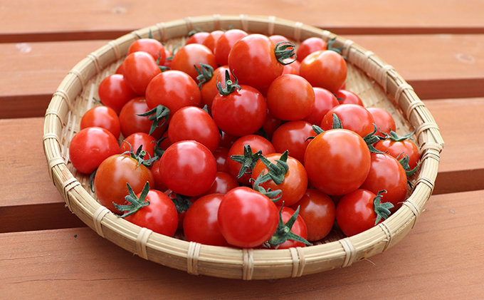 【2025年9月中旬頃から発送】農家直送！ミニトマト500g入り！かみふらの秋の味覚ボックスL（7～9品入り）