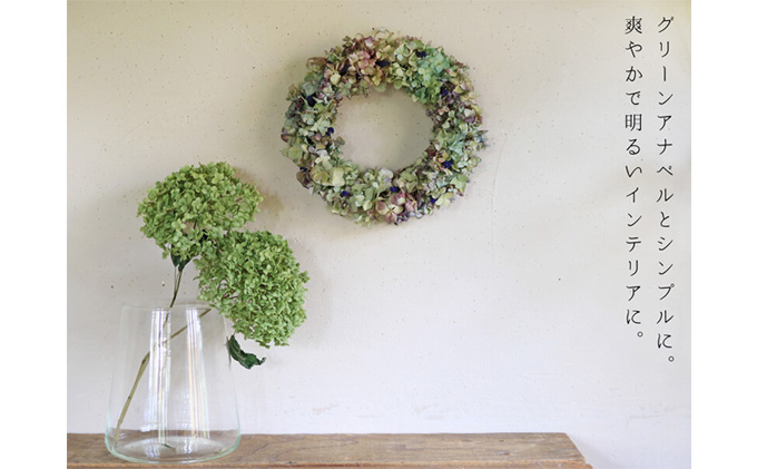 富良野 花七曜 大きめあじさいのリース ◆ ドライフラワーリース