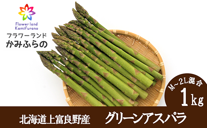 【令和8年産】北海道 上富良野 町産 グリーン アスパラ 1kg 500g × 2袋 産地直送 新鮮 野菜 あすぱら アスパラガス 野菜 1kg