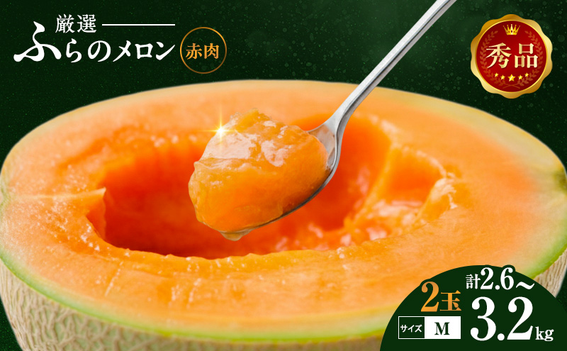 【令和8年産】ふらの 赤肉メロン 厳選 秀品 Mサイズ 1.3kg～1.6kg 2玉 セット ファーム富良野 メロン めろん 果物 くだもの フルーツ 富良野 デザート 北海道 北海道上富良野町