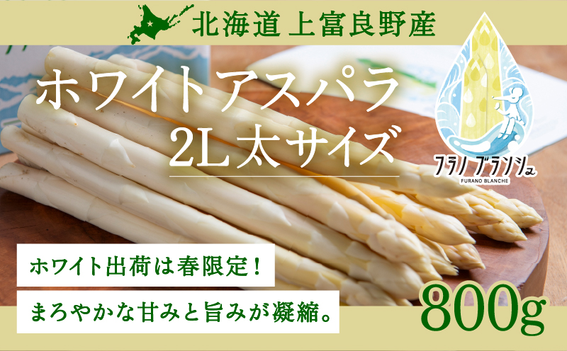 先行予約 【 2026年 発送 ！】 北海道 上富良野産 ホワイトアスパラガス 2L サイズ 800g アスパラ ホワイト アスパラガス 上富良野町 令和7年発送 野菜 やさい