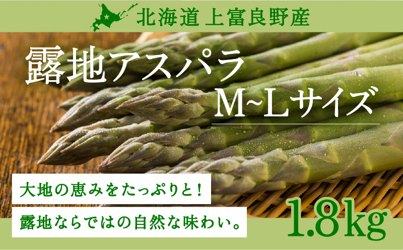 先行予約 【 2026年 発送 ！】北海道 上富良野産 露地 グリーン アスパラガス L,Mサイズ 1.8kg アスパラ グリーンアスパラ 上富良野町 令和7年発送 野菜 やさい