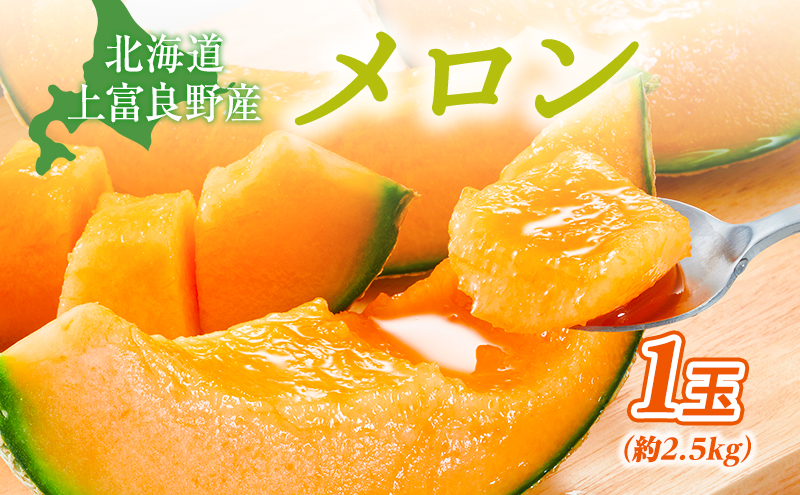 【2026年発送】 赤肉メロン JAふらの厳選！約2.5kg×1玉 メロン めろん 富良野メロン 果物 くだもの フルーツ 富良野 デザート 北海道 国産 上富良野産 北海道産 食後 来客 北海道メロン