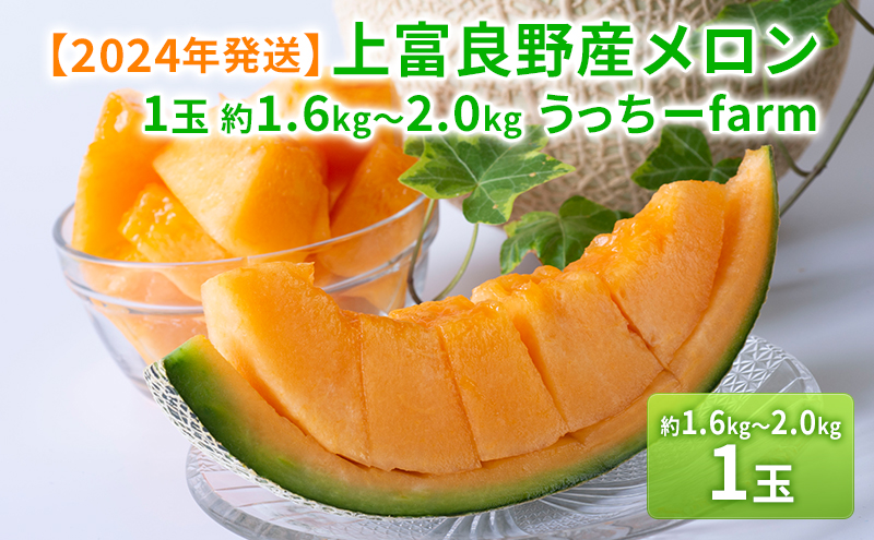 【令和8年産】富良野 高糖度 赤肉メロン 1玉 約1.6kg ～ 2.0kg うっちーfarm 北海道 メロン かみふらの フルーツ 上富良野