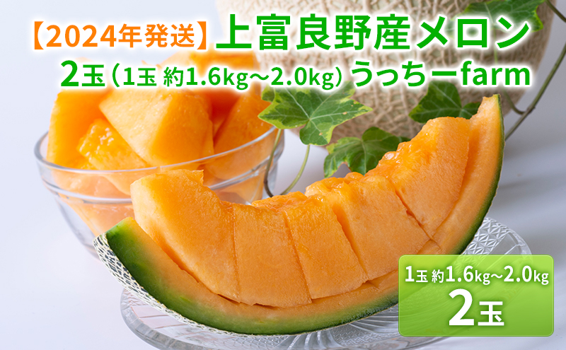 【令和8年産】富良野 高糖度 赤肉メロン 2玉 1玉 約1.6kg ～ 2.0kg うっちーfarm 北海道 メロン かみふらの フルーツ 上富良野