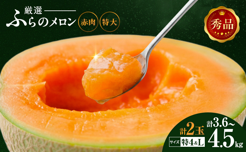 【 2026年発送 先行予約 】 ふらの 赤肉メロン 特4 2kg～2.6kg Lサイズ 1.6kg～1.9kg 各1玉(計2玉) 厳選 秀品 特4サイズ セット めろん フルーツ デザート くだもの 旬の果物 旬のフルーツ ファーム富良野 北海道