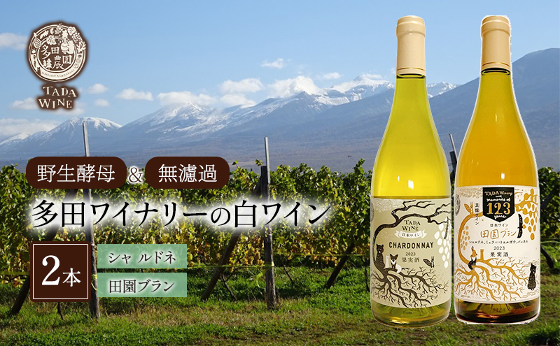 【 野生酵母 ＆ 無濾過 】 混醸ワイン ＆ シャルドネ 100%の ワイン 白2本 セット 多田ワイナリー 白ワイン お酒 ミネラル感 ミディアムボディ 白ワインセット