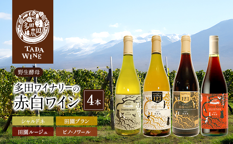 【野生酵母】かみふらの 多田ワイナリー 赤白ワイン 計4本　ワイン 赤ワイン 白ワイン 飲み比べ セット ぶどう 葡萄 ワイナリー 酒 北海道 上富良野町