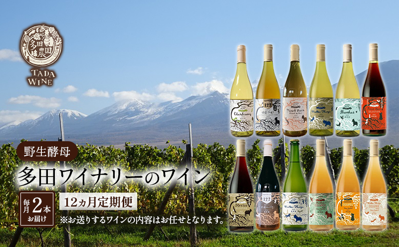 ワイン12ヵ月定期便◎月2本×12回◎多田ワイナリー◎野生酵母ワイン 北海道 上富良野町 ワイン 赤ワイン 白ワイン 微発泡ワイン オレンジワイン