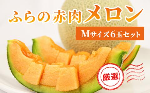 【2026年発送】ふらの 赤肉メロン 厳選 甘味 Mサイズ 1.35kg～1.6kg 6玉 セット ファーム富良野 メロン めろん 富良野メロン 果物 くだもの フルーツ 富良野 デザート 北海道 先行受付 北海道上富良野町