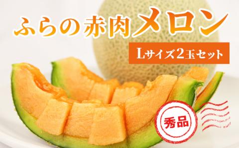 【令和8年産】ふらの 赤肉メロン 秀品 Lサイズ 1.6kg～1.9kg 2玉 セット ファーム富良野 メロン めろん 果物 くだもの フルーツ デザート 北海道 北海道上富良野町
