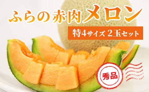 【 2026年発送 先行予約 】 ふらの 赤肉メロン 2kg～2.6kg 2玉 厳選 秀品 特4サイズ セット めろん 果物 フルーツ デザート くだもの 旬の果物 旬のフルーツ ファーム富良野 北海道