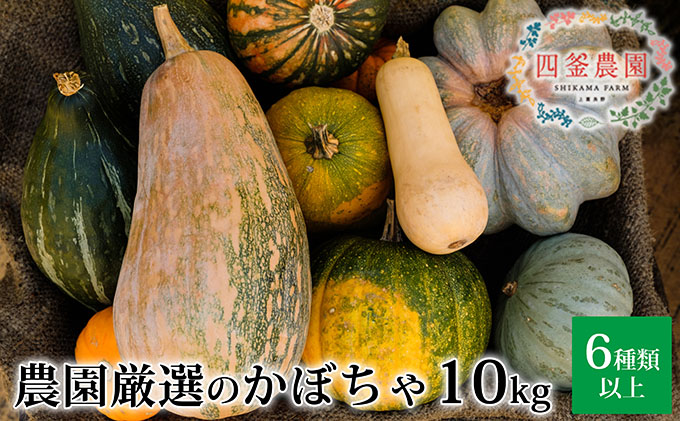 四釜農園のオススメかぼちゃ10kgセット≪6種以上≫