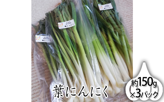 北海道上富良野町産 葉にんにく約150g×3パック