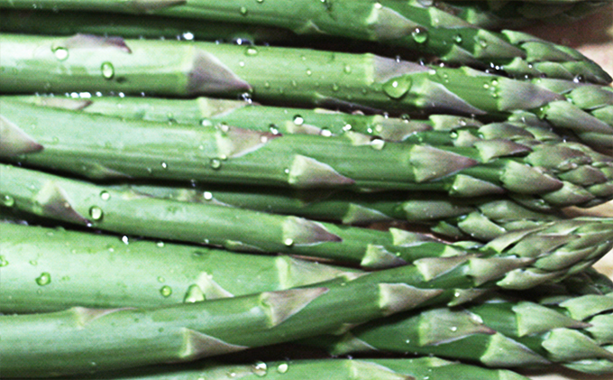 地元富良野産グリーンアスパラ1kg（M・L混合）