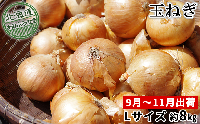 玉ねぎ約8kg（Lサイズ）≪北海道上富良野産≫