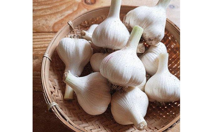 オーガニック  上富良野町産ニンニク 1kg（15～20個）