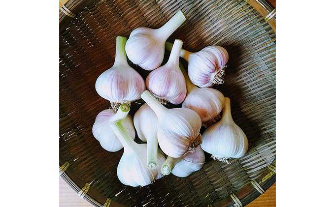 オーガニック 上富良野産 新ニンニク 1kg（15～20個程度）