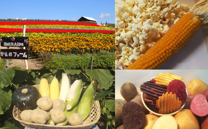 上富良野【かんのファーム】新鮮野菜の定期便（ラベンダー付全3回）