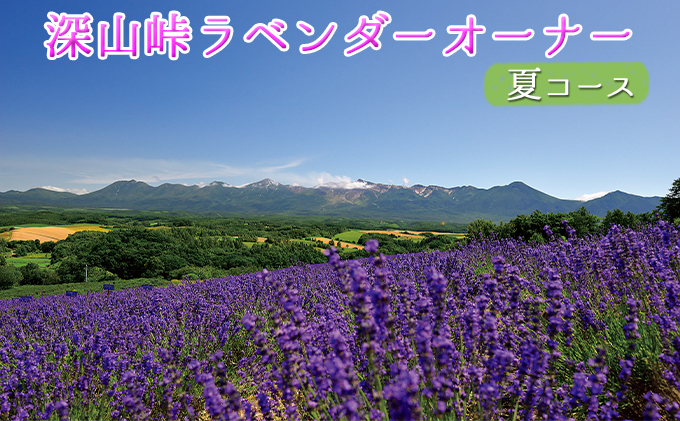 【令和8年】ラベンダーオーナー制度（夏コース） チケット 入場券 優待券 果物類 フルーツ アロマグッズ