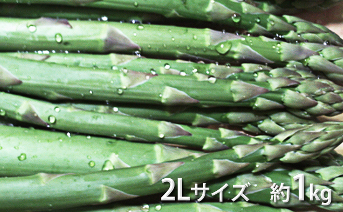 地元富良野産グリーンアスパラ 2Lサイズ 約1kg