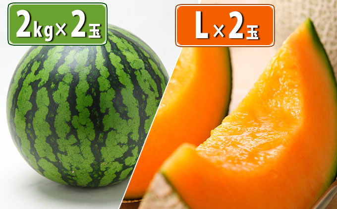 【 2025年 発送 】先行予約 ふらの産 ミニスイカ 2kg×2玉＆ふらの 赤肉メロン L玉×2玉 セット 令和7年発送 先行受付 スイカ すいか メロン 赤肉